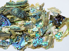 Load image into Gallery viewer, Rainbow Abalone Shells