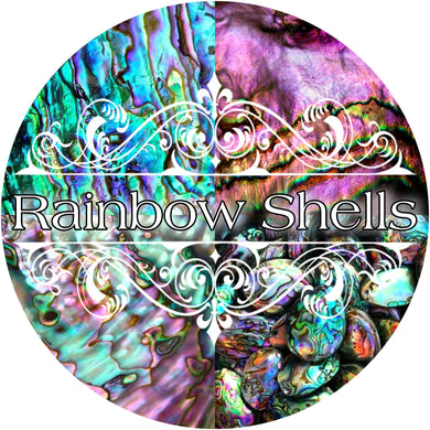 Rainbow Abalone Shells